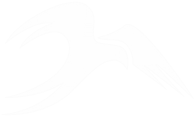 Nightfinch Media Logo